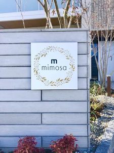 ミモザ A0305号-15