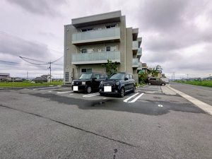 ミモザ A0103号-14