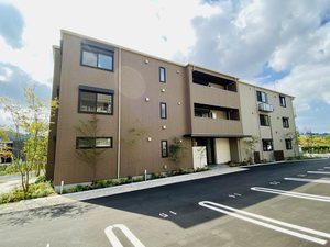 サフィール メゾン A0205号-14