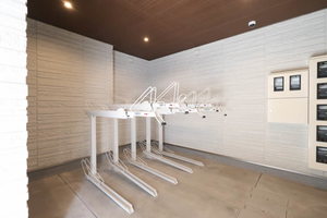 トラピッチェエメラルド B0201号-14