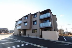 セイルズ　スエダ