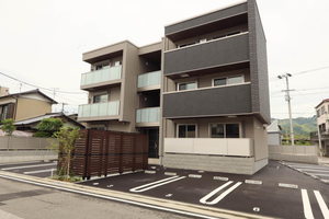 ベレオ　クレマティス