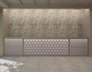 Ｂａｌｌｏｏｎｆｌｏｗｅｒ　Ｓｏｕｔｈ A0103号-4