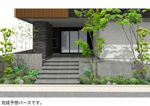 Ecrage Takasu A0103号-3