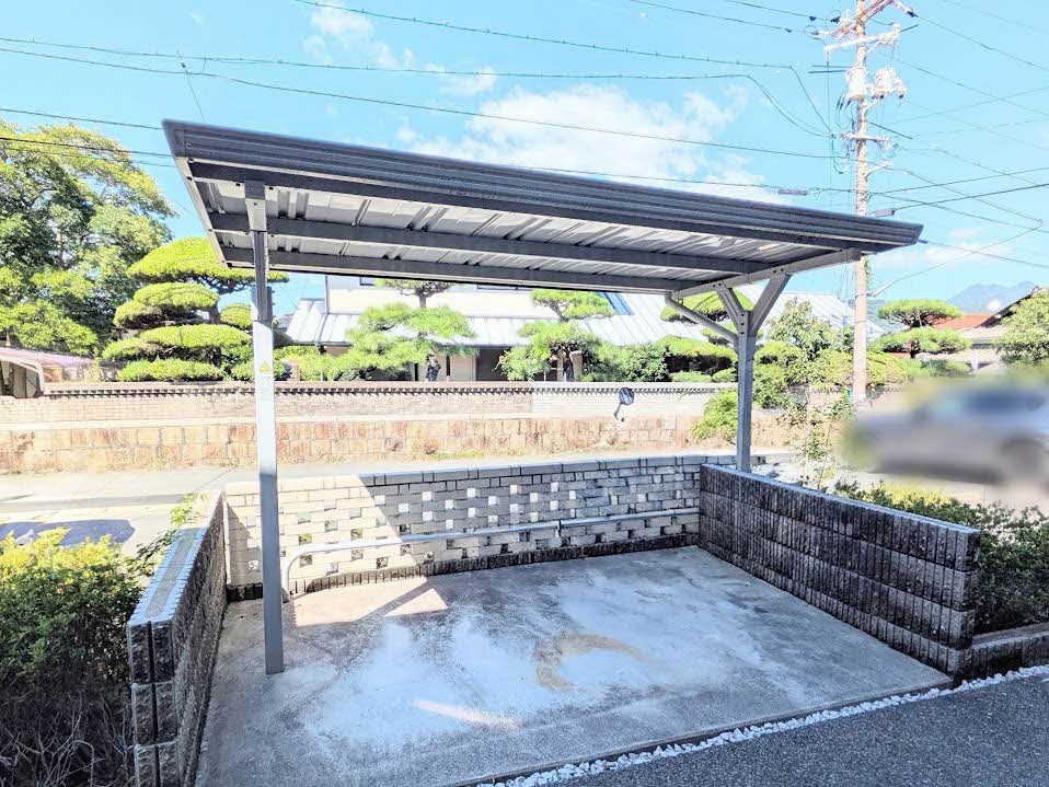 プルメリア A0201号-14