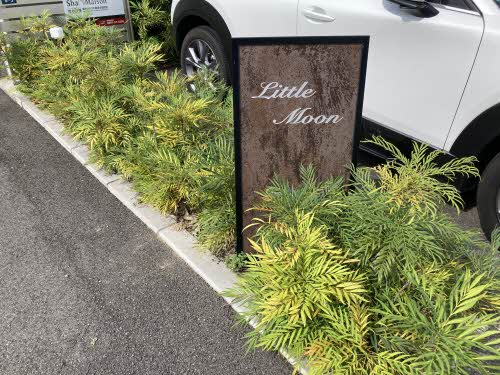 Little Moon A0201号-5