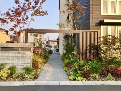 シャイン A0305号-3