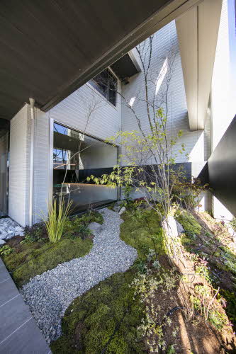 ＨＩＲＡ　ＴＥＲＲＡＣＥ A0207号-5