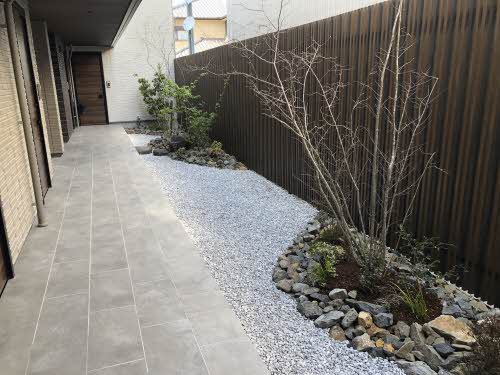 アルフラット　サクラ A0203号-15