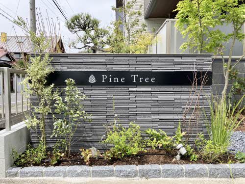 パインツリー A0201号-14