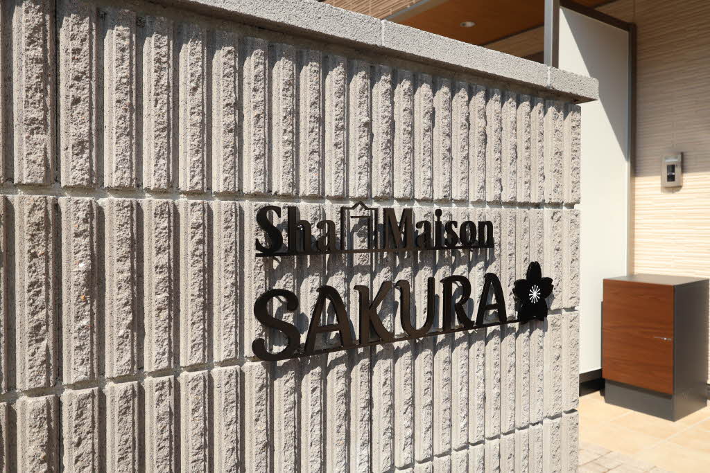 ＳｈａＭａｉｓｏｎ　ＳＡＫＵＲＡ A0204号-11