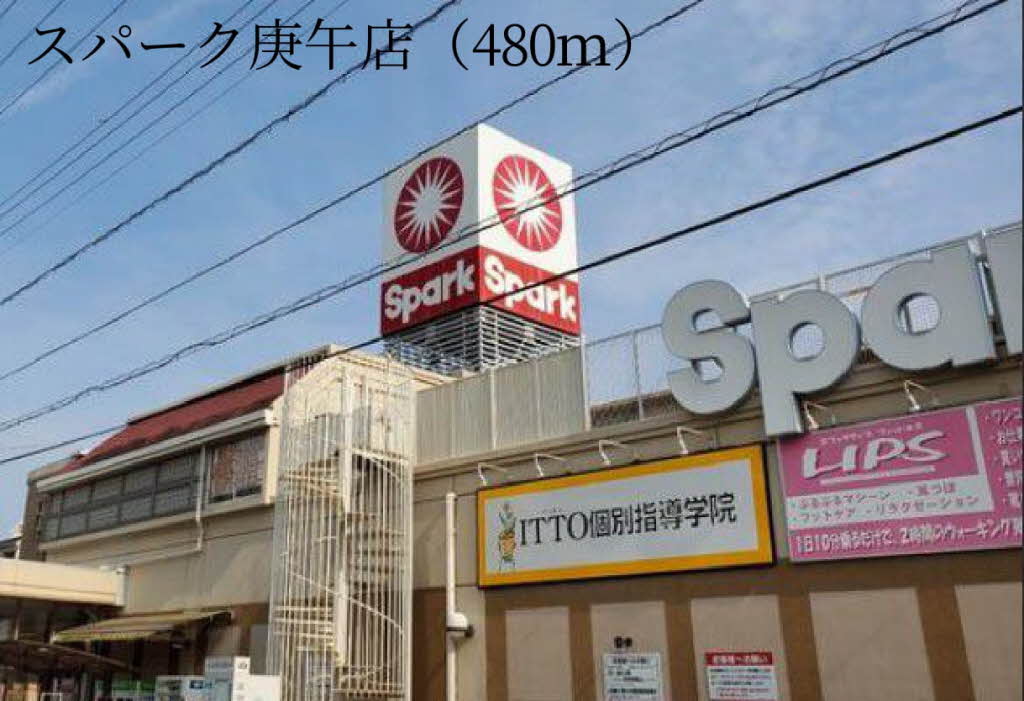 Ｙａｎａｇｉ　Ｔａｋａｓｕ A0202号-4