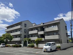 Ｐｕｒｅ・Ｌｉｆｅ－Ｋｕｍｅ A0302号-12