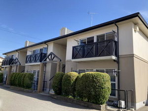 パルデメール A0203号-1