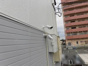 ディアス徳常 A0205号-15