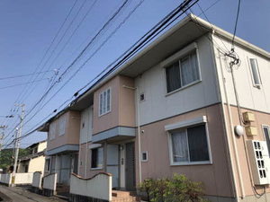 シャーメゾン秋桜（コスモス） A0101号-1