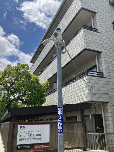 Ｐｕｒｅ・Ｌｉｆｅ－Ｋｕｍｅ A0302号-14