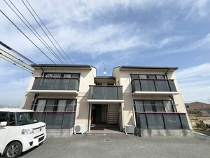 グレース　ホリ A0202号-1