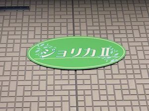 ジョリカⅡ A0205号-12