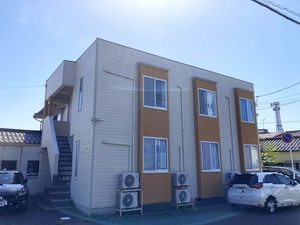 ぴのきお A0203号-1