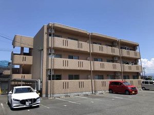 ペーシュメイ A0102号-1