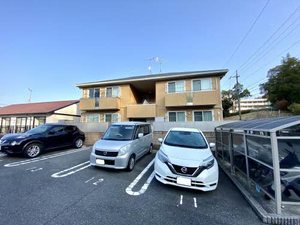 ルピナス　Ｃ C0202号-1