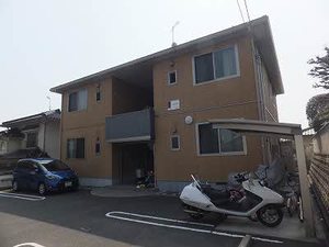 ルピナス A0101号-1