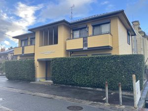Ｌｏｇｅｍｅｎｔ　ｄｅ　ｈａｕｔ　ｐｏｎ A0102号-1