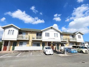 シャーメゾン　ミモザ A0205号-1