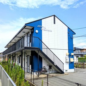 ＪＯＹＦＵＬ’ＳＨＩＢＡＮＡＫＡ A0105号-1