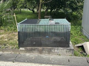 ディアスまさご B棟 B0202号-15
