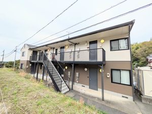 ハイランドパラツ A0204号-1