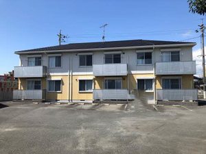 バウハウス A0201号-1