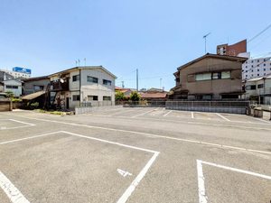 シャーメゾン・キュプラ A0103号-13