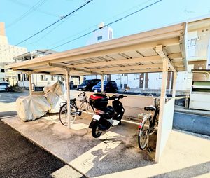 シャーメゾン・キュプラ A0202号-14