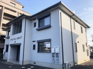 バリュージュ　バオバブ　Ａ棟 A0202号-1