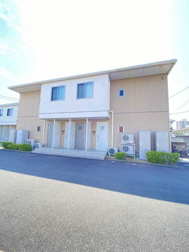 高津　城島　石井　松井　メジャー 函大有斗