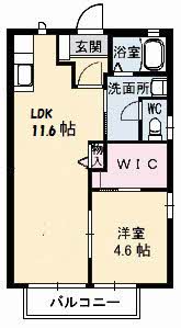姫山フィルハーモニー　コンセルトヘボウ F0102号-16
