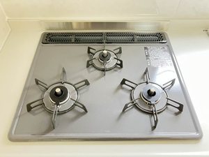 ヴェルディ白石 C棟 B0202号-11
