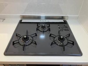 ウエストフィールド D棟 D0102号-4