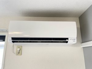 ディアス芳居 A棟 A0202号-10