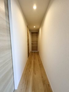 ディアスさや A0107号-11