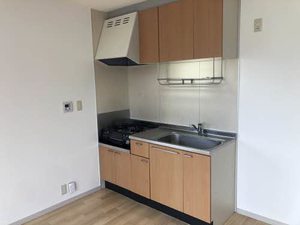 スターヒルズ A0201号-2