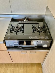 スターヒルズ A0202号-12