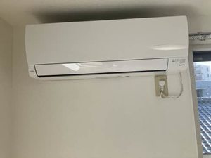 ピースフル A0201号-7