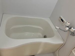 ピースフル A0201号-10