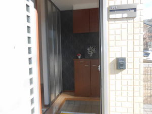 ディアス・パルモ A0101号-2