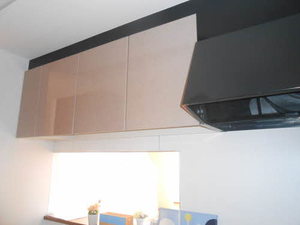 ディアス・パルモ A0101号-6