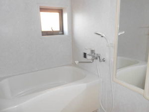 ディアス・パルモ A0101号-8