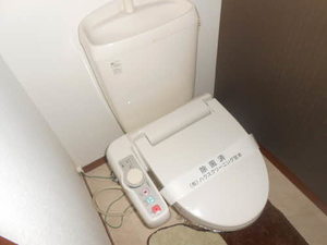 ディアス・パルモ A0101号-9